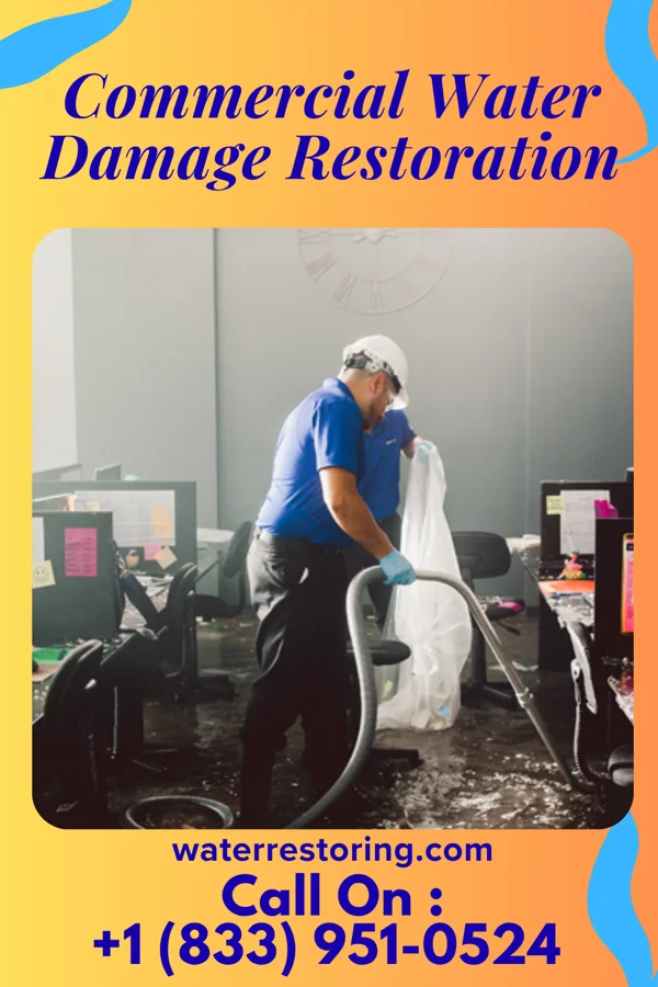 Commercial Water Damage Restoration in Ceylon, MN