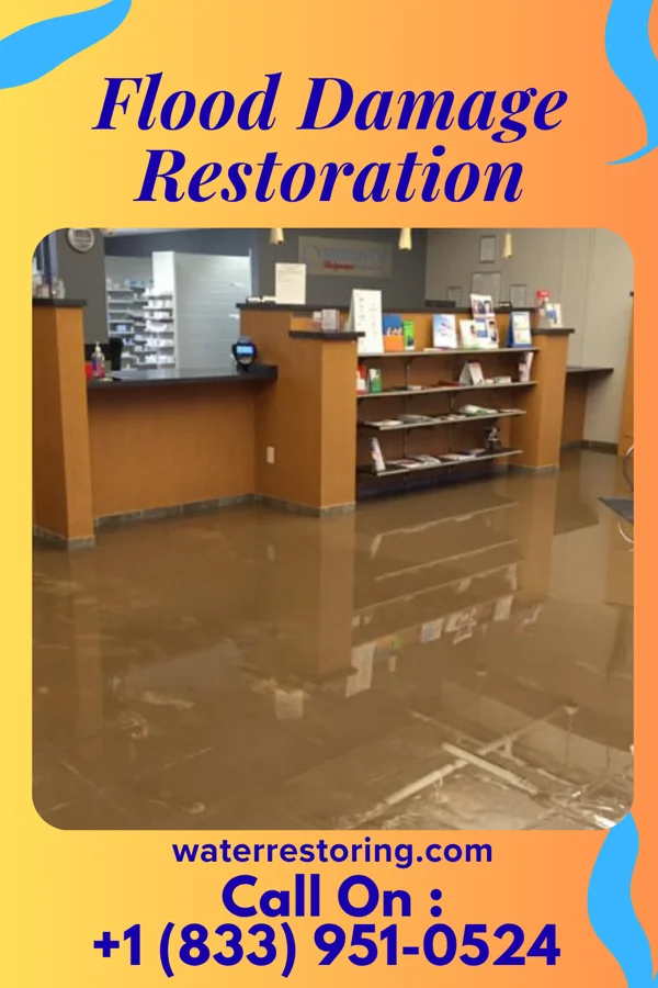 Flood Damage Restoration in Ceylon, MN