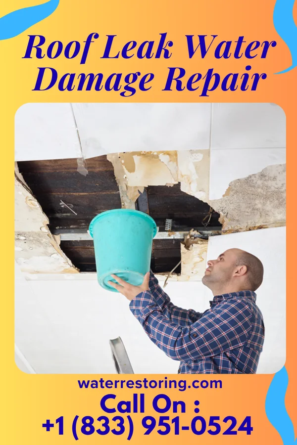 Roof Leak Water Damage Repair in Ceylon, MN