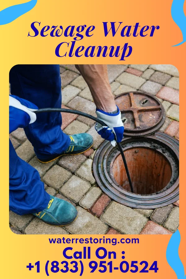 Sewage Water Cleanup in Ceylon, MN
