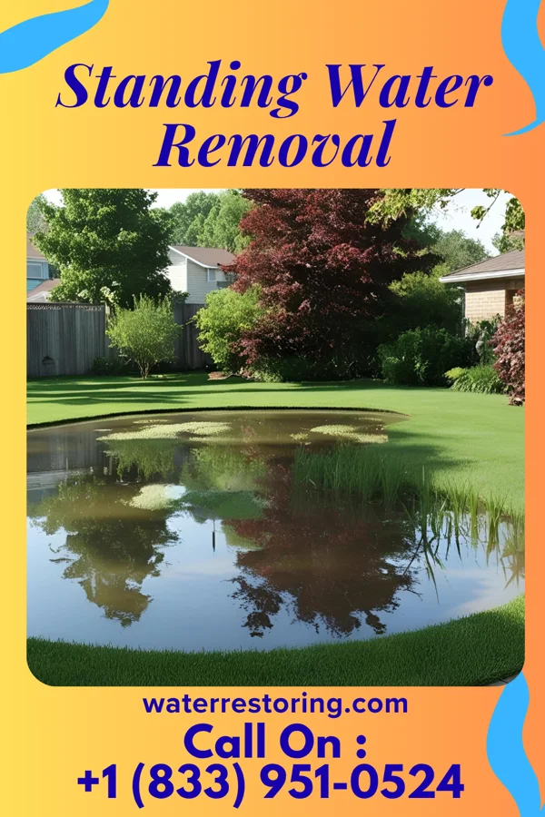 Standing Water Removal in Ceylon, MN